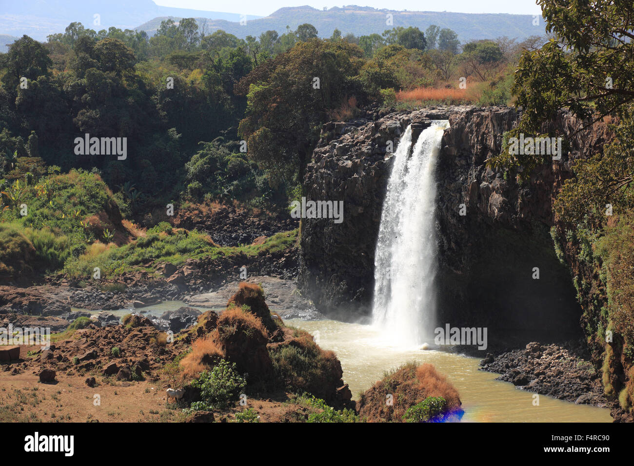 Region Amhara, the waterfall of the Blue Nile, in the highlands of Abyssinia, Blue Nile, Waterfall Tis Issat Stock Photo