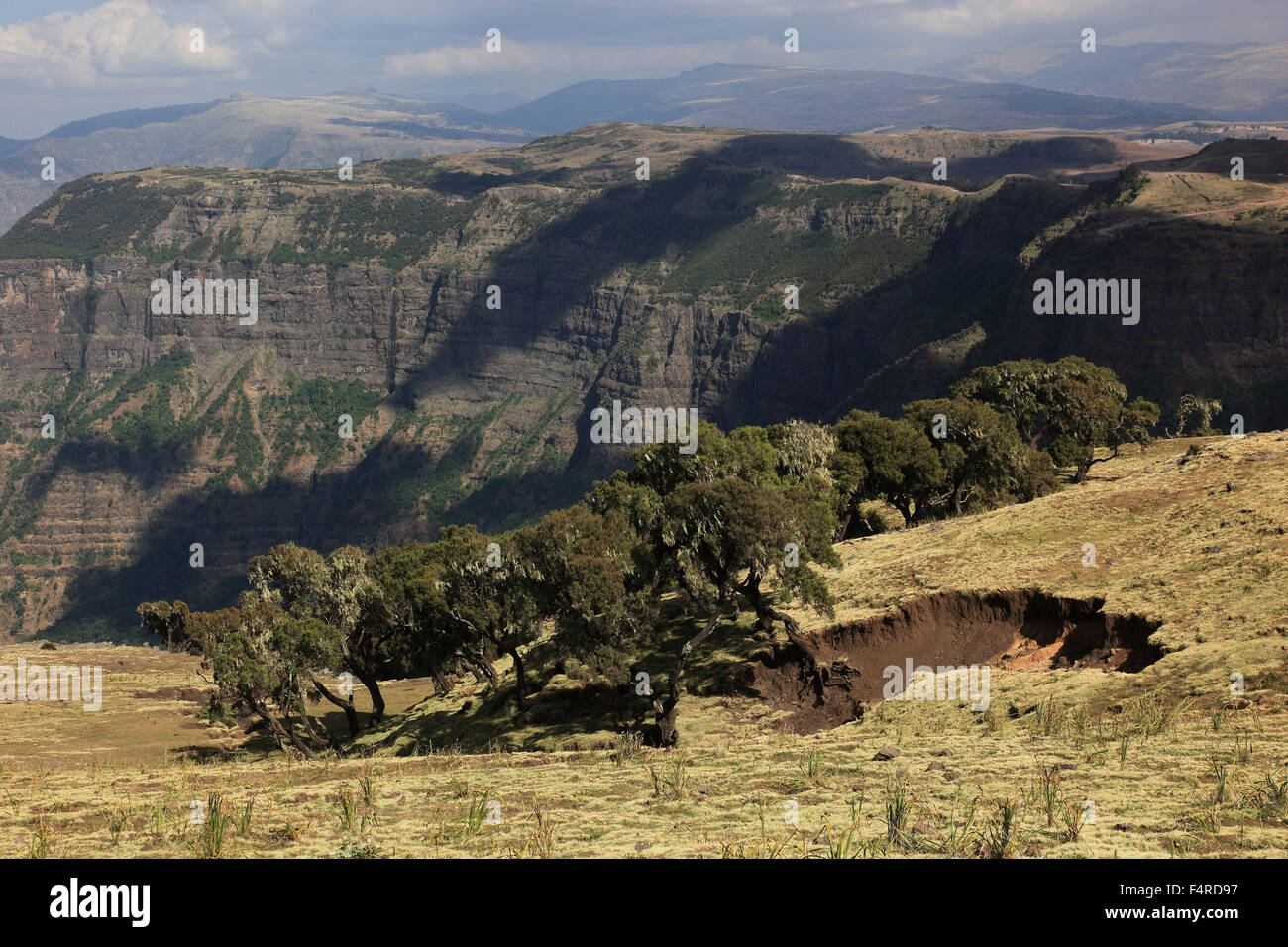 In the highlands of Abyssinia, in the Simien Mountains, landscape in ...