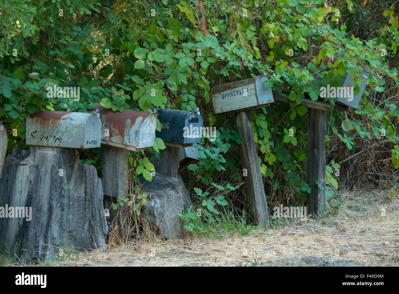 USA, UnitedStates, America, California, West Coast, Humboldt County, mail boxes, roadside, rural, postal, Americana Stock Photo