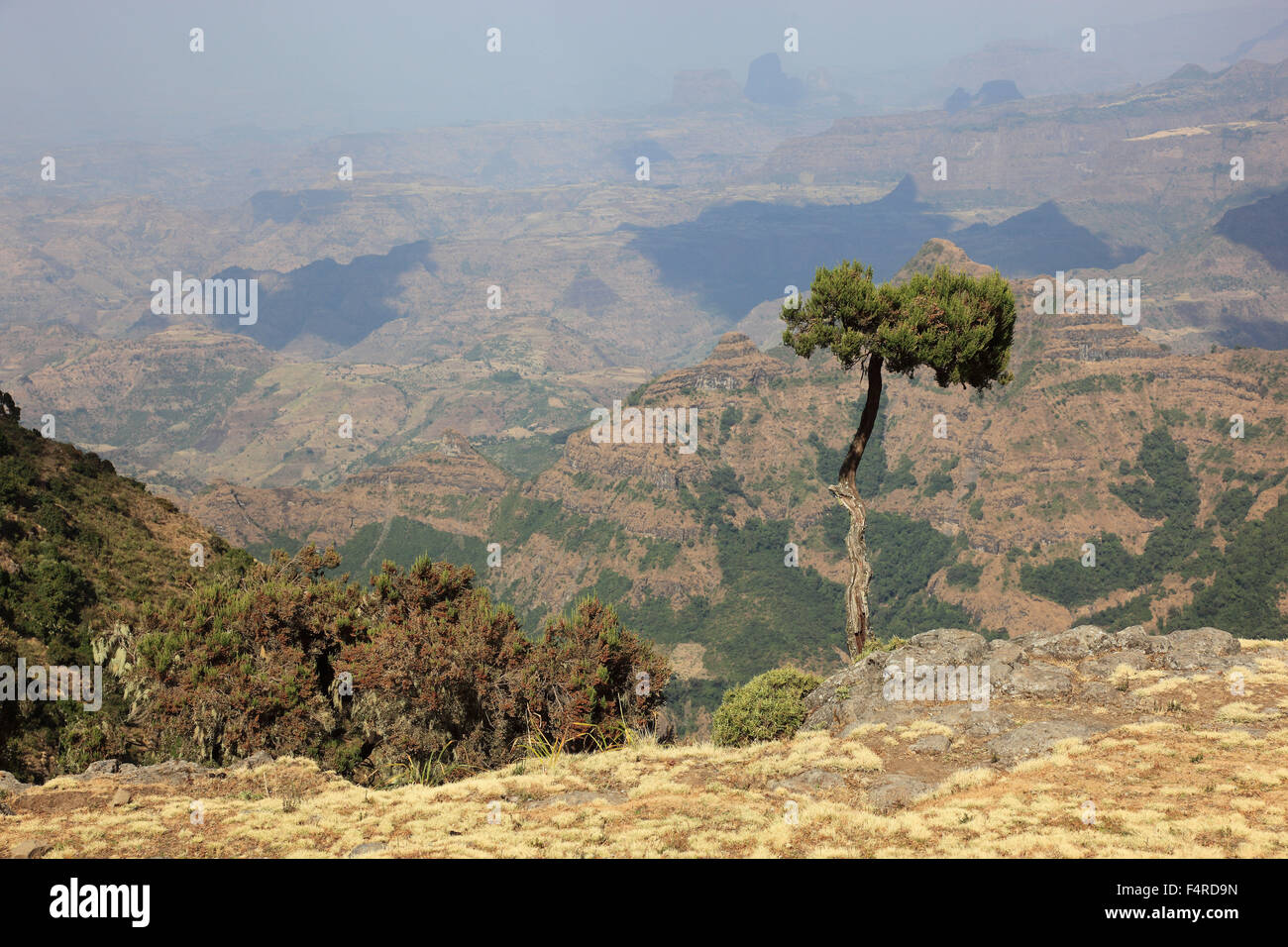 In the highlands of Abyssinia, in the Simien Mountains, Landscape in ...