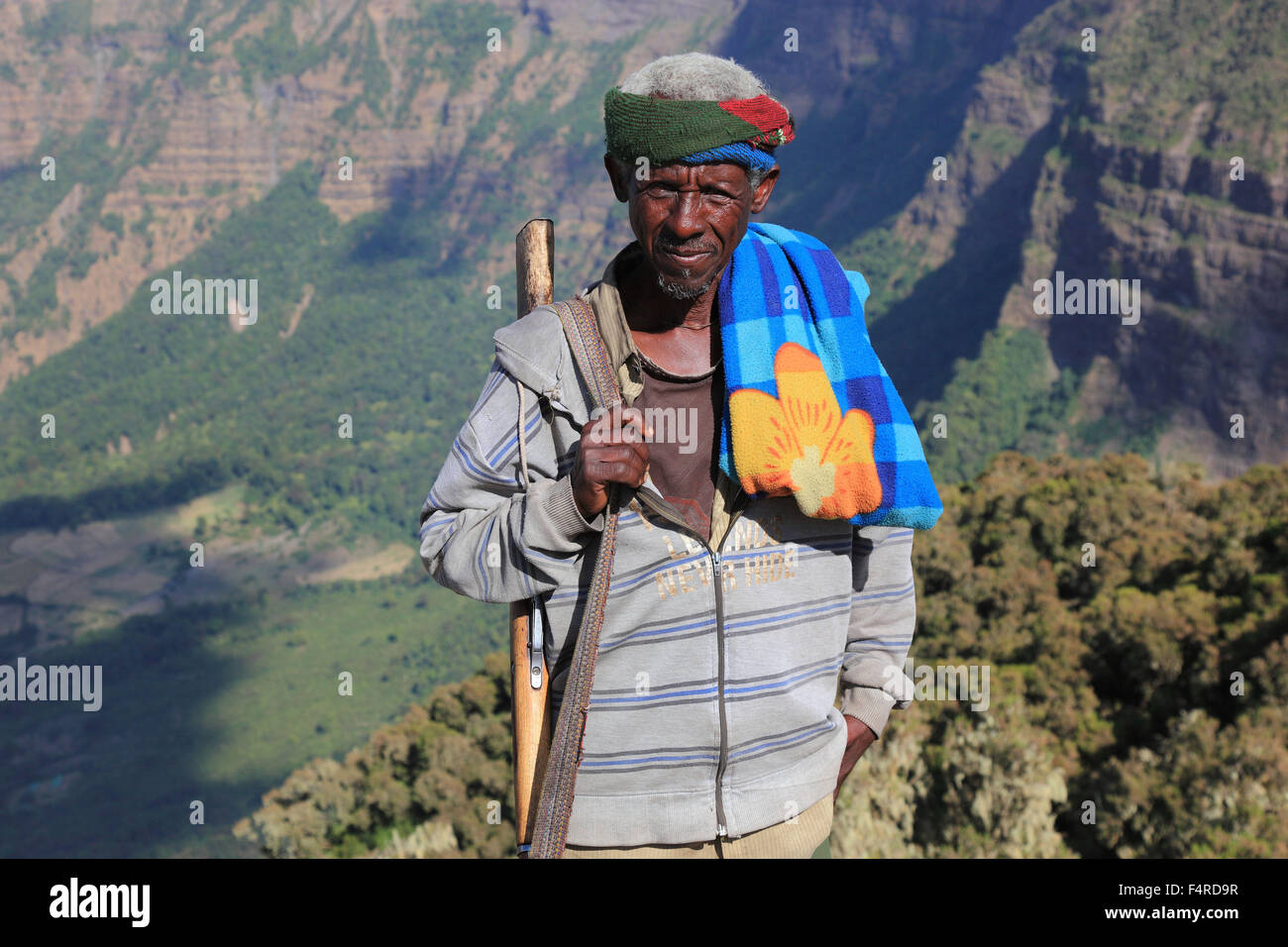 In the highlands of Abyssinia, in the Simien Mountains, landscape in Simien Mountains National Park, guardian, companion, Stock Photo