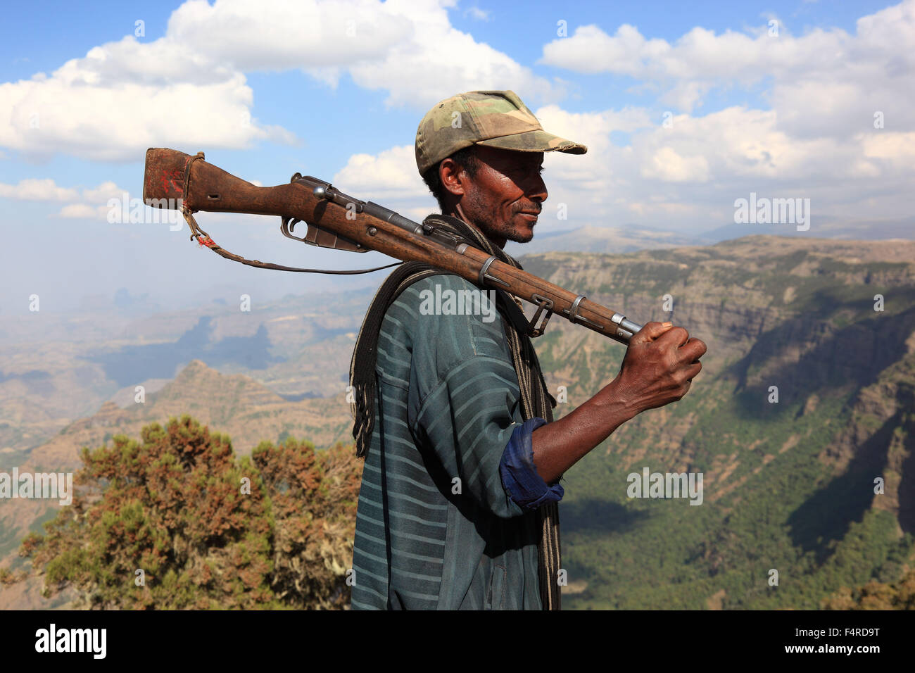 In the highlands of Abyssinia, in the Simien Mountains, landscape in Simien Mountains National Park, guardian, companion Stock Photo
