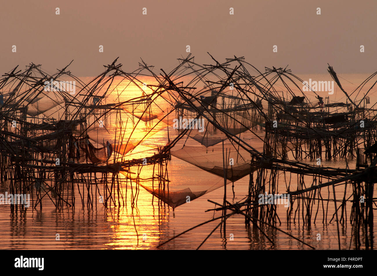 Thailand, Phatthalung, lift net, Sunrise, fishing, nets, sun, back light  Stock Photo - Alamy