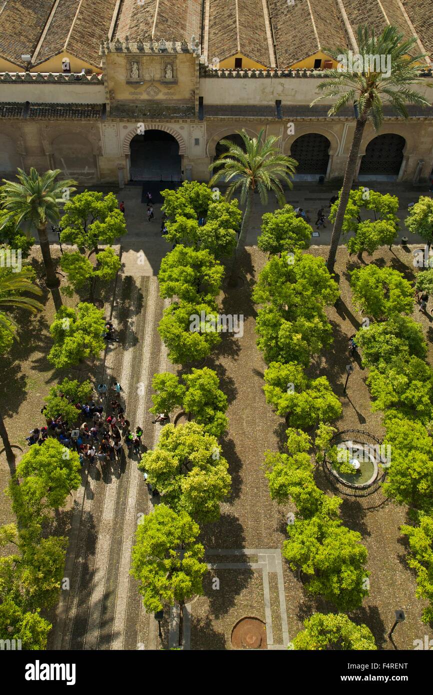 Patio de los Naranjos, Orange tree garden, from the Bell Tower, Mezquita, Cordoba, Andalucia, Spain Stock Photo