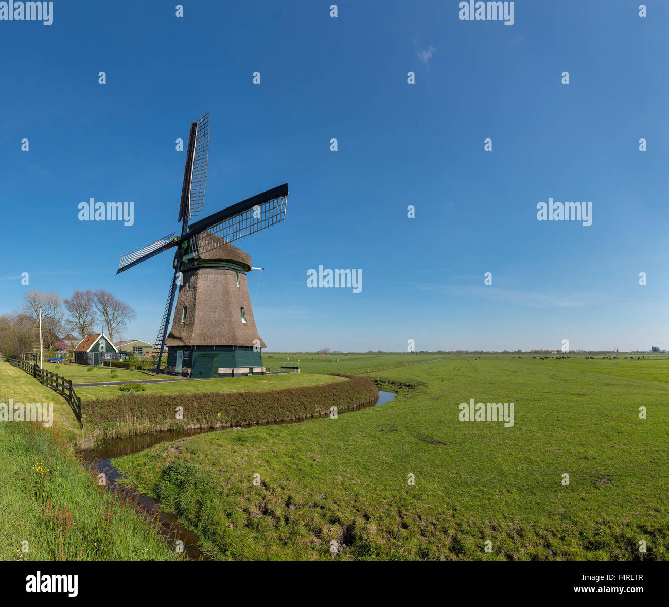 Netherlands, Holland, Europe, windmill, field, meadow, spring, Schagerbrug, Stock Photo