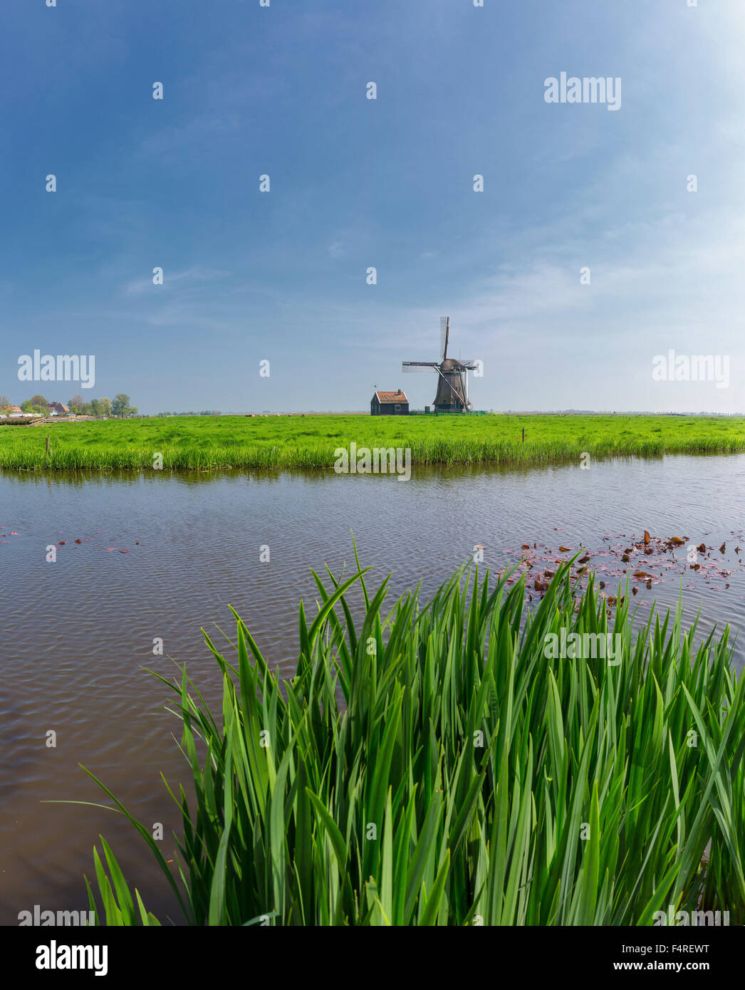Netherlands, Holland, Europe, windmill, field, meadow, water, summer, De Koker, Wormer, Stock Photo