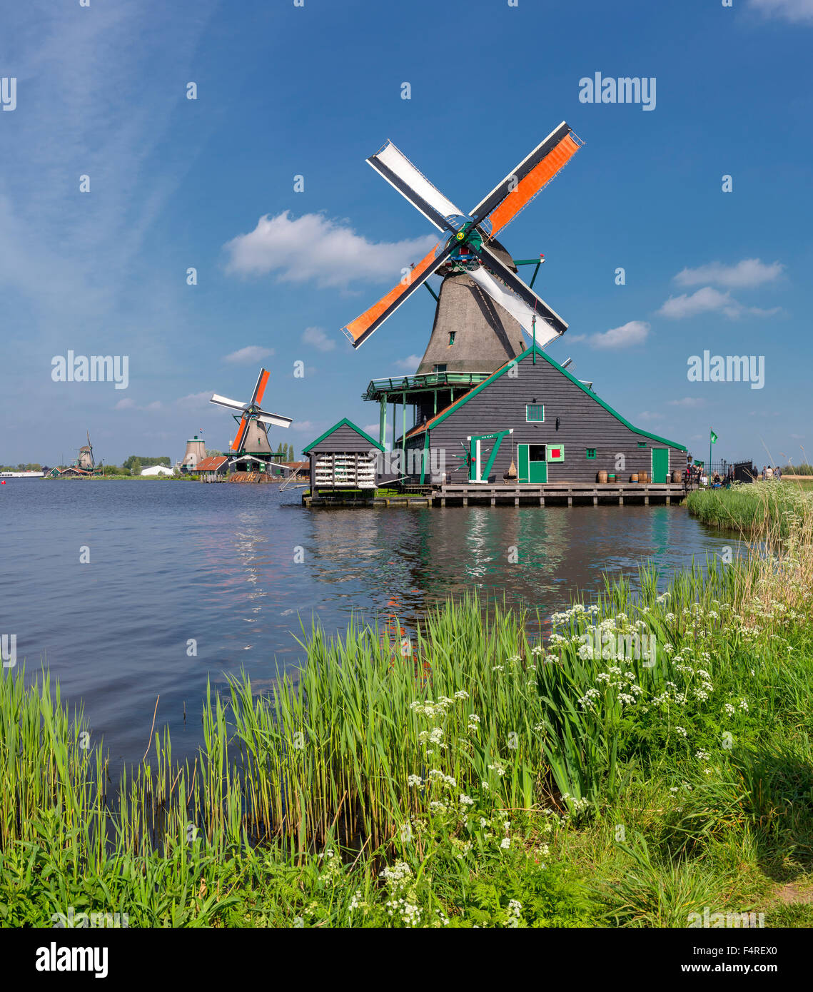 Netherlands, Holland, Europe, windmill, water, summer, Windmills, river, De Zaan, Zaandam, Stock Photo