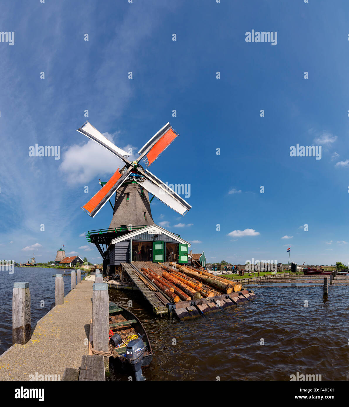 Netherlands, Holland, Europe, windmill, water, summer, Woodcutting windmill, Sheep, Zaandam, Stock Photo