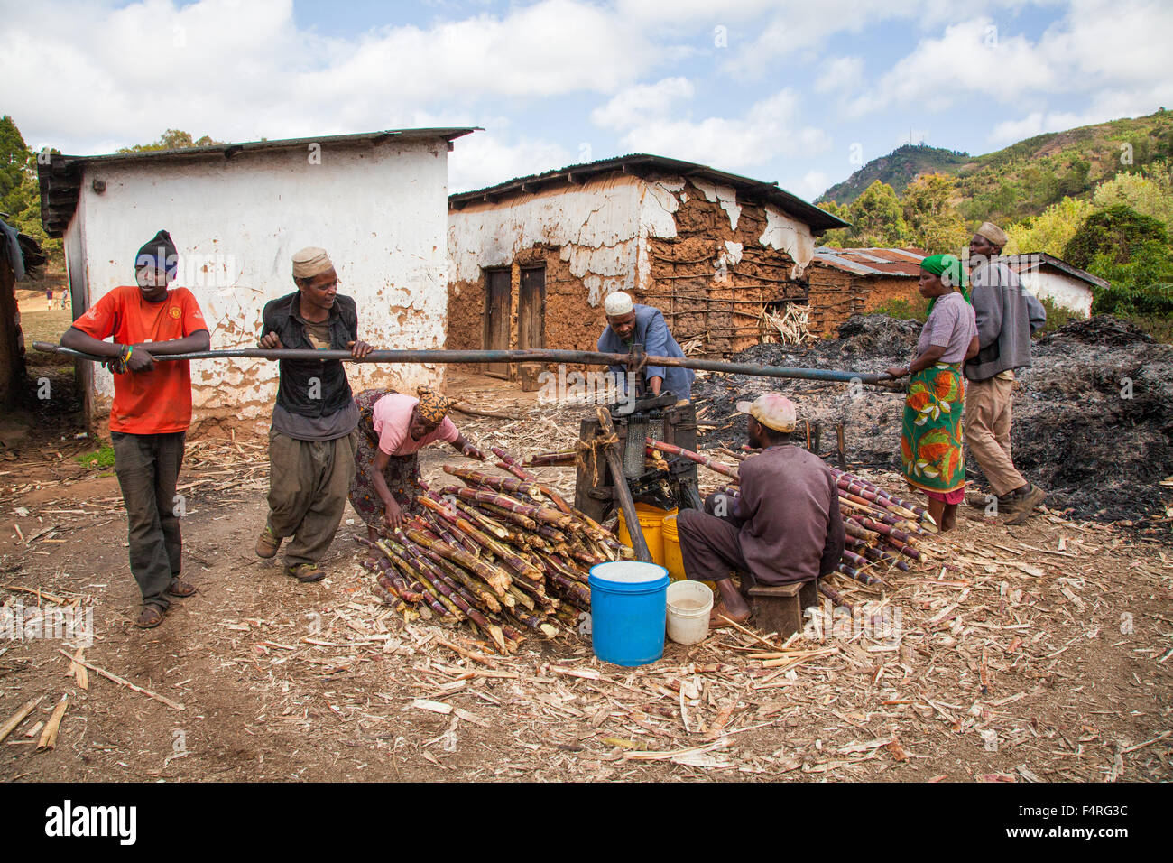 Africa, village, house, home, houses, homes, people, persons, travel, Tanzania, Usambara, sugarcane, work Stock Photo