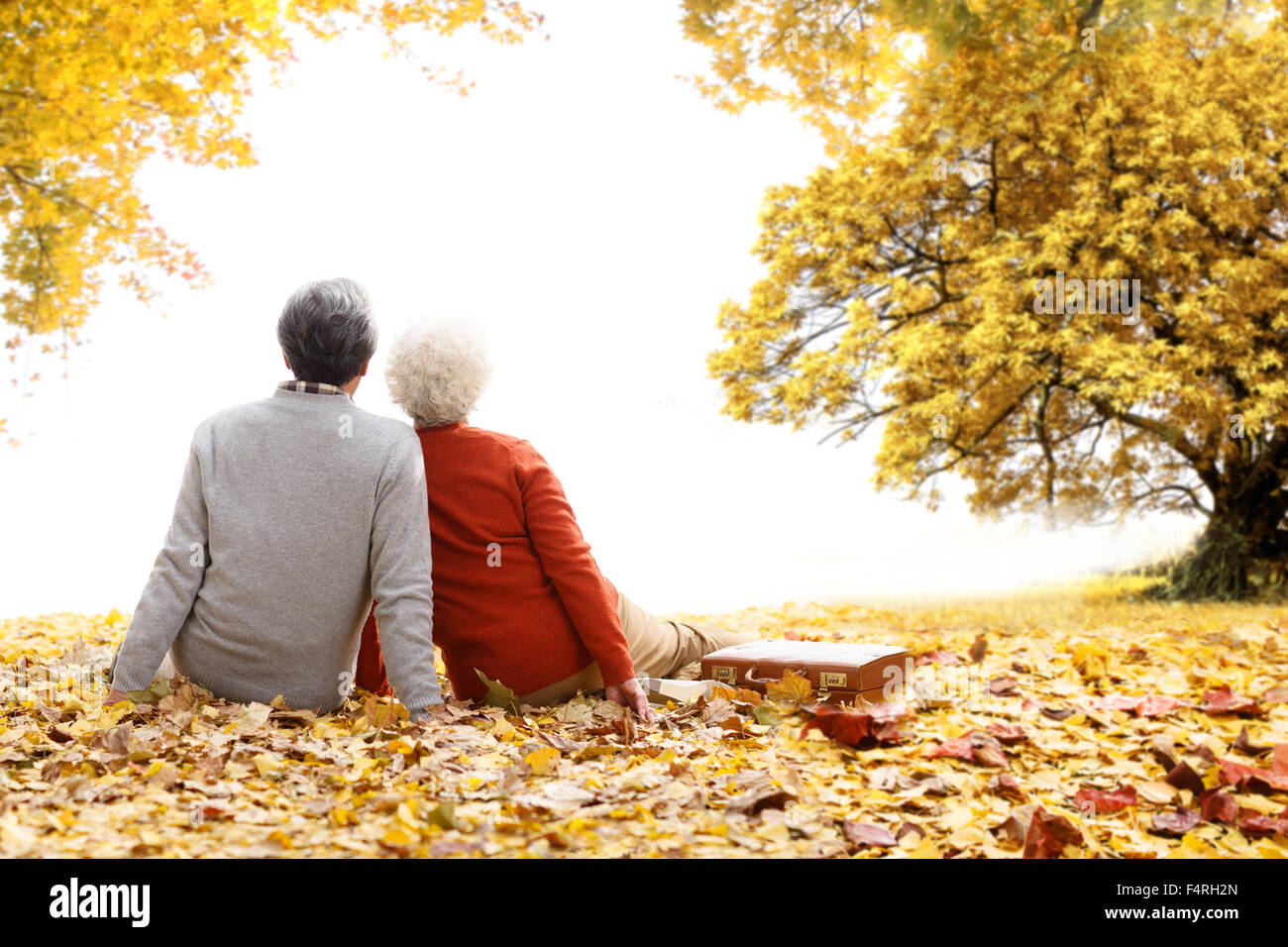 Happy old couple outdoor picnic Stock Photo
