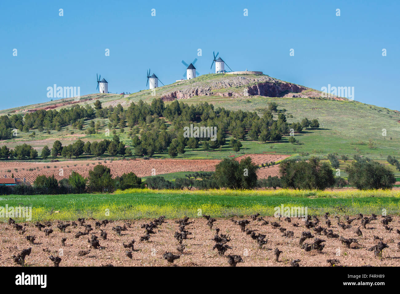 Castle, La Mancha, Landscape, Region, Spain, Europe, Spring, architecture, campo de criptana, castle, colourful, green, no peopl Stock Photo
