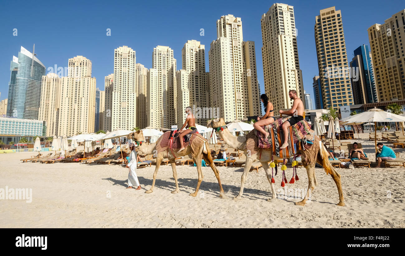 Tourists riding camel on beach at JBR Jumeirah Beach Residences in Marina district of Dubai United Arab Emirates Stock Photo