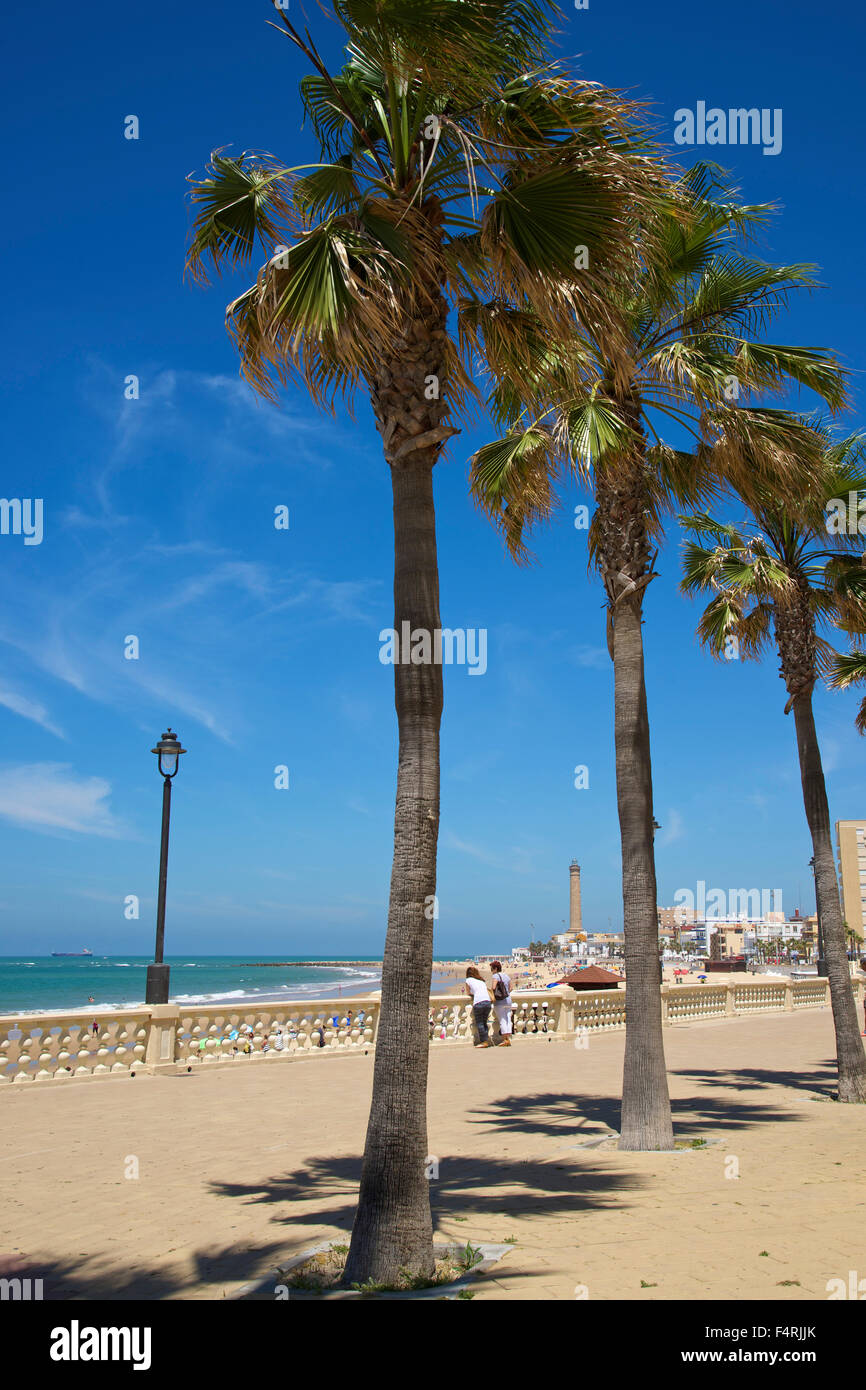 Andalusia, Spain, Europe, outside, day, Chipiona, Costa de la Luz, beach, seashore, palm beach, palm, person, people, persons, p Stock Photo