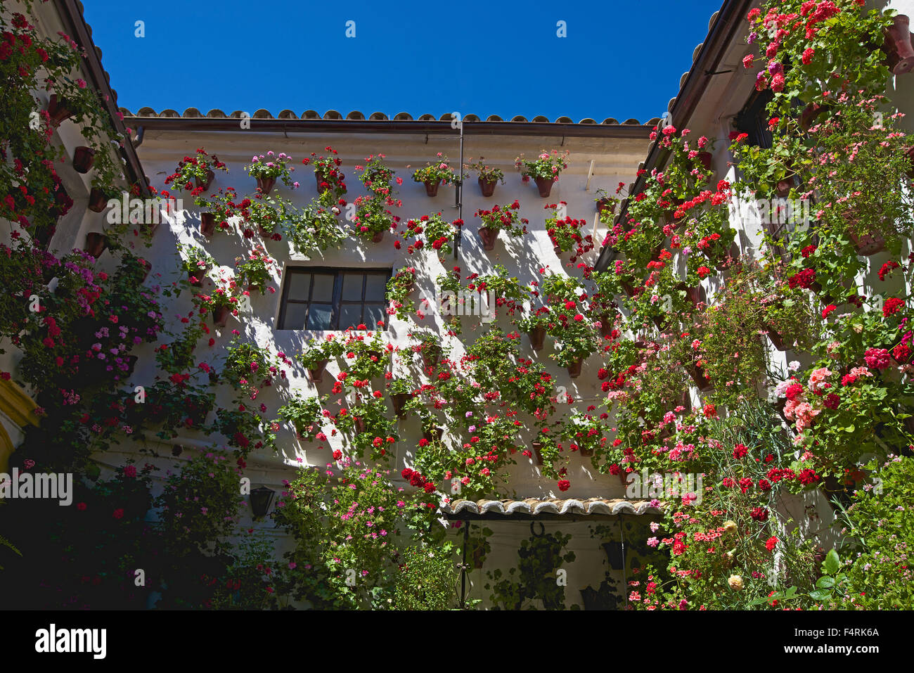 Andalusia, Spain, Europe, outside, day, Cordoba, Fiesta de los patios, tradition, traditional, floral decoration, flower, nobody Stock Photo
