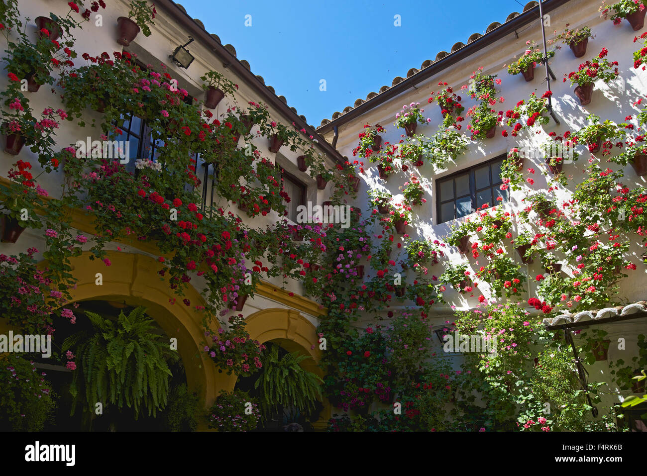 Andalusia, Spain, Europe, outside, day, Cordoba, Fiesta de los patios, tradition, traditional, floral decoration, flower, nobody Stock Photo