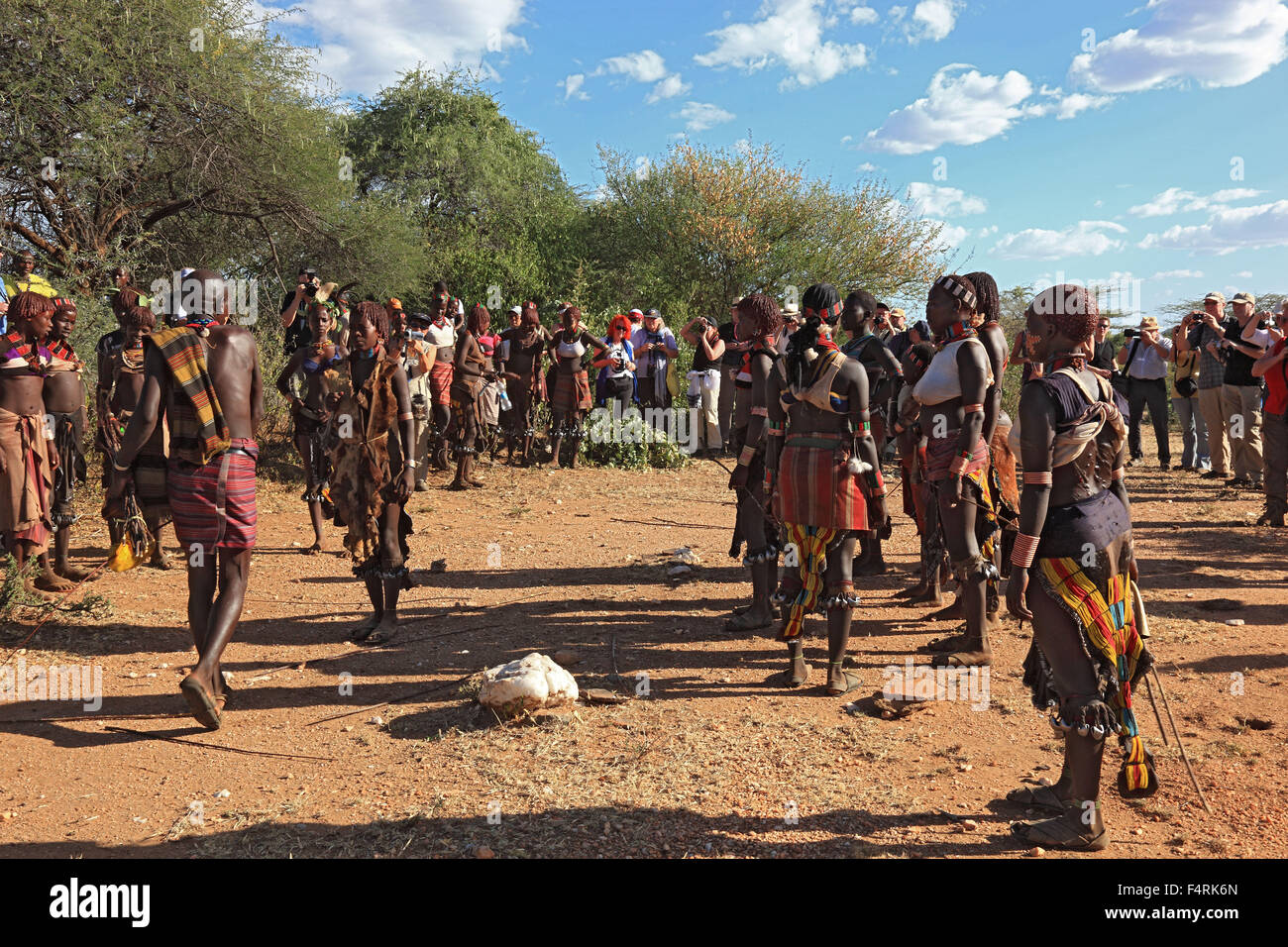 Omo region, the tribe of the Hamar, Hamer, Hamma, Hammer, Amar or Amer, family reunion for initiation ritual, ceremony, Bull Jum Stock Photo