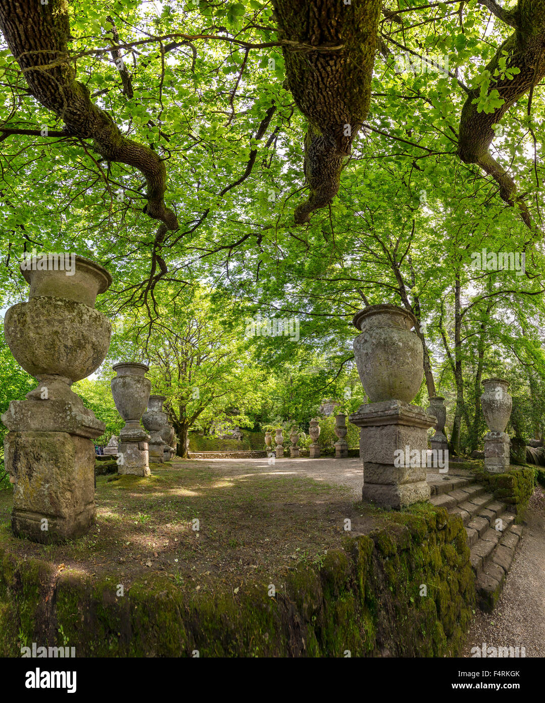 Italy Europe Lazio Bomarzo Landscape Forest Wood Trees