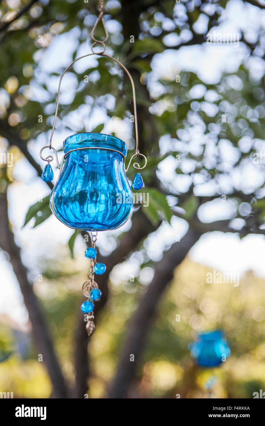 Blue lantern hanging on tree Stock Photo Alamy