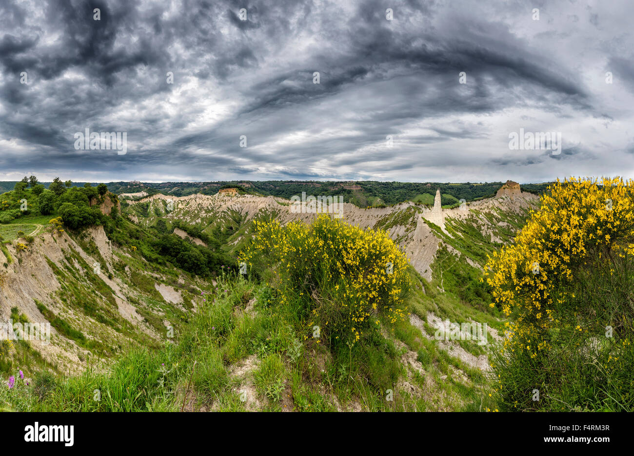 Italy, Europe, Umbria, Bagnoregia, landscape, flowers, spring, mountains, hills, erosion, badlands Stock Photo