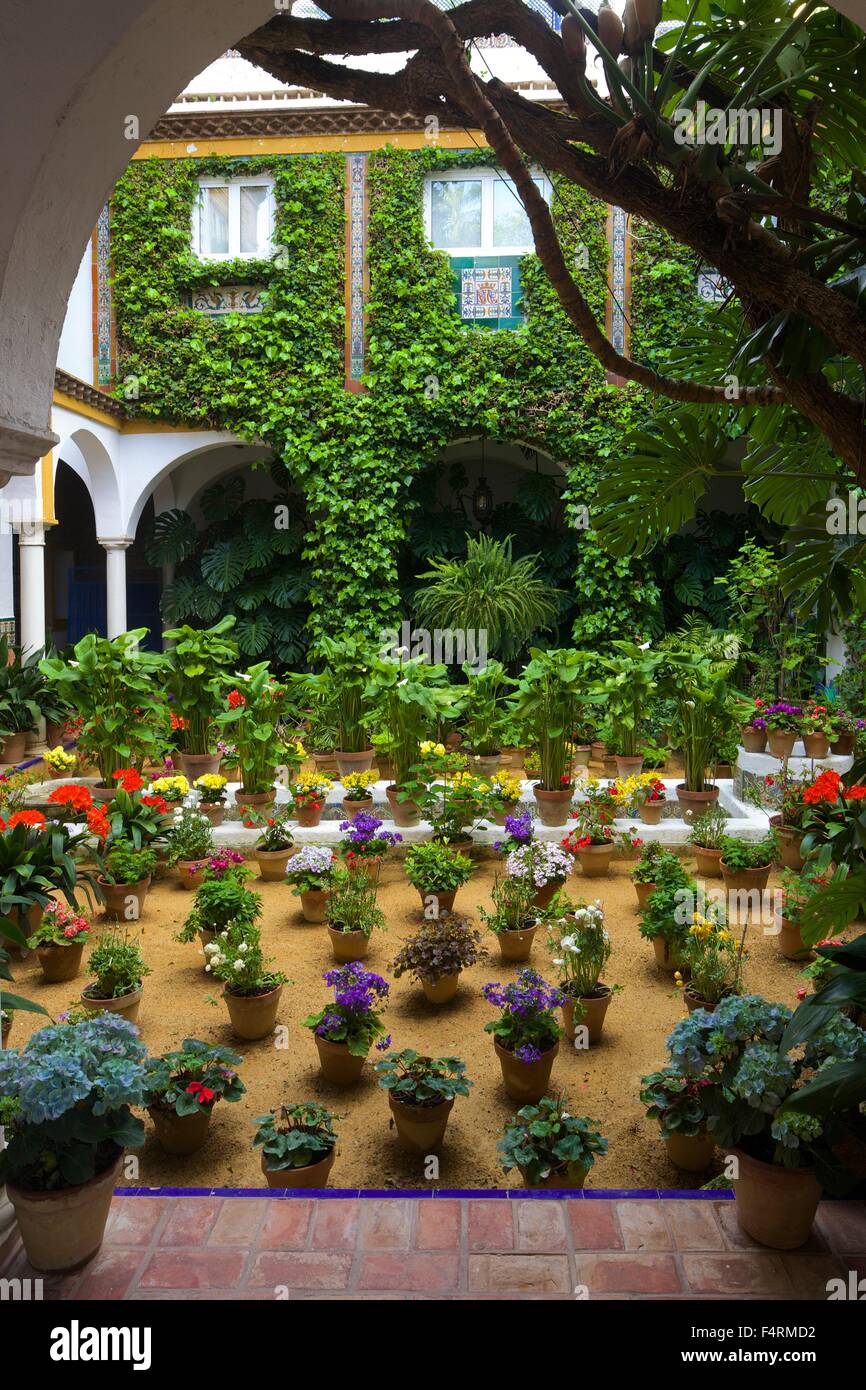 Courtyard garden, Seville, Andalucia, Spain, Europe Stock Photo Alamy