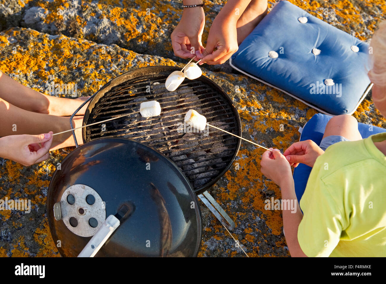 Family (12-13, 16-17) grilling marshmallows on rocks Stock Photo