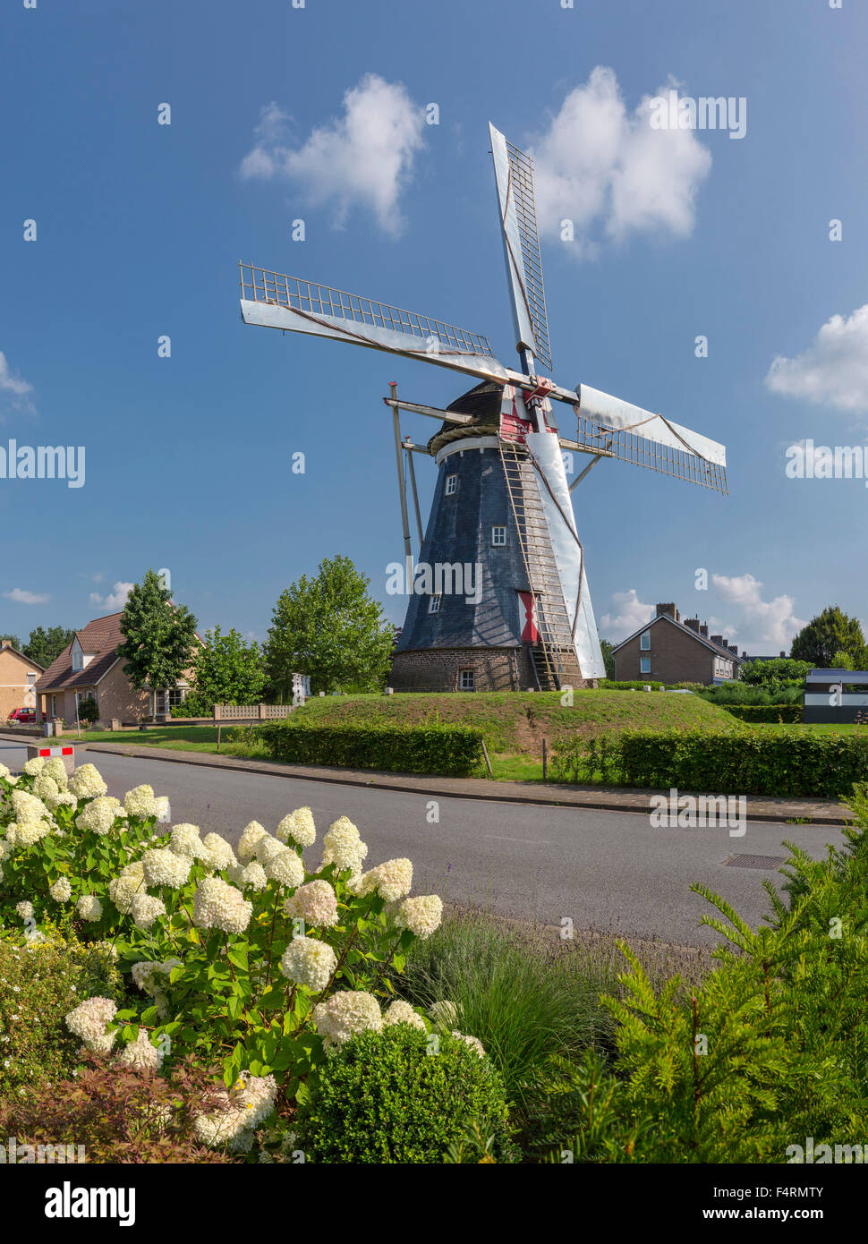 Netherlands, Europe, Holland, Horn, Limburg, windmill, flowers, summer, Hope Stock Photo