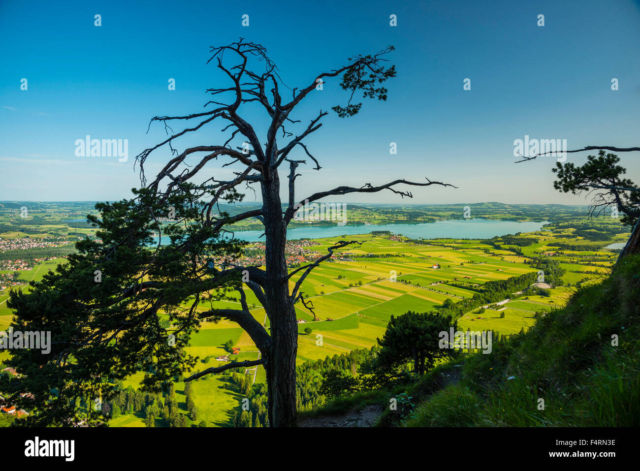 Alps baroque baroque hi-res stock photography and images - Alamy
