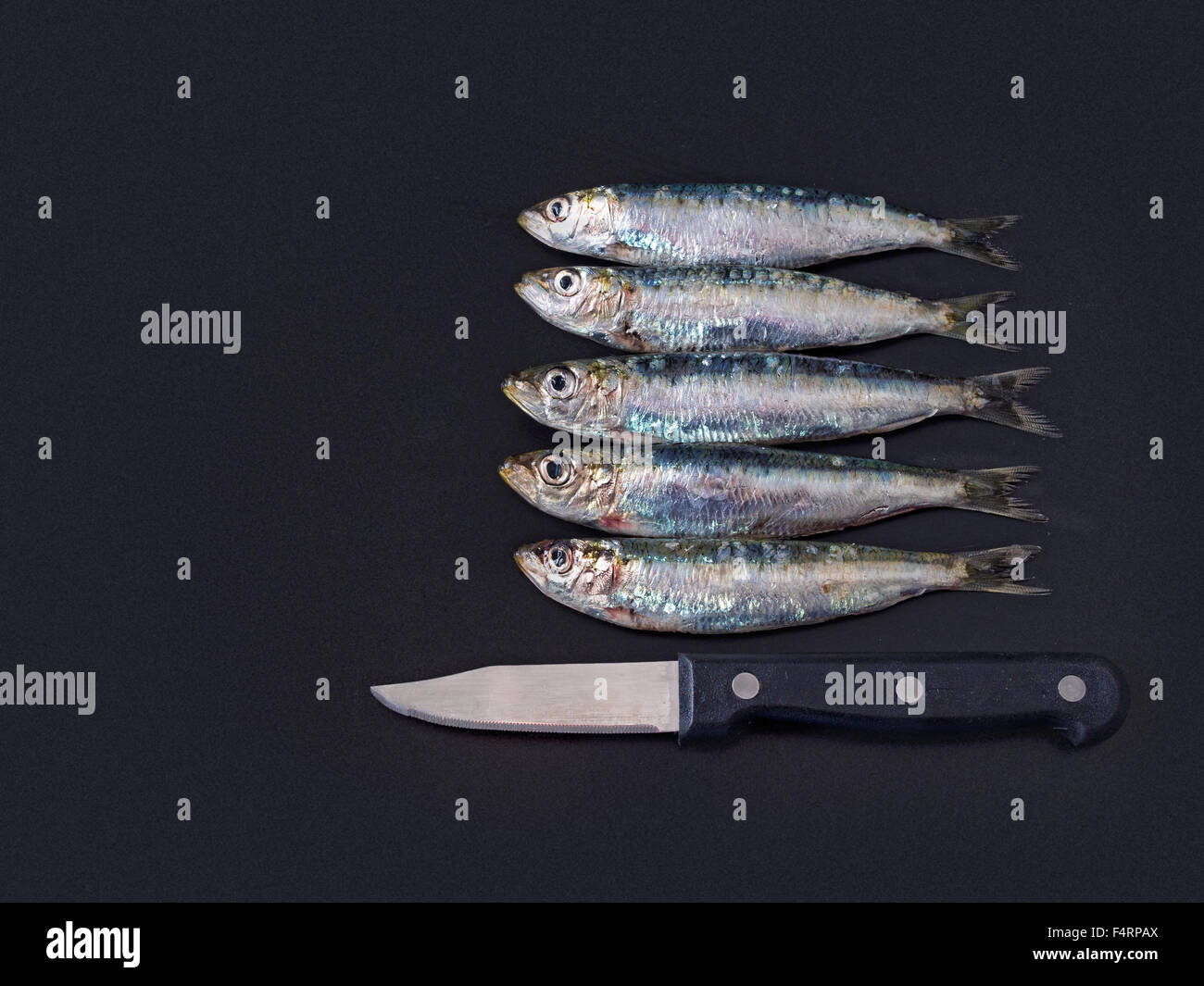 Fish for supper. Sardines lined up with knife Stock Photo Alamy