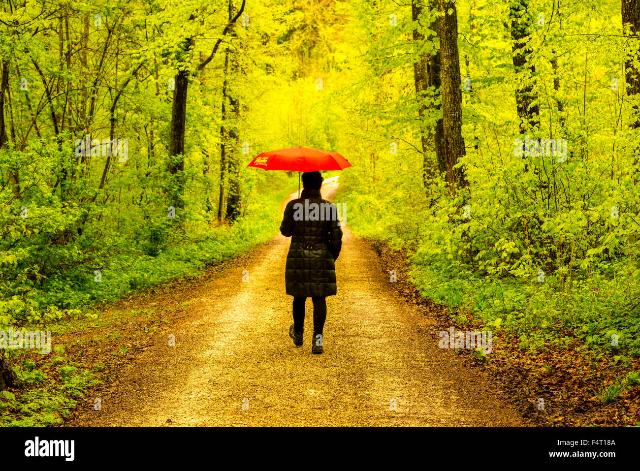 alone, Baden-Wurttemberg, leaves, beeches, Germany, lonely, lonesome woman, loneliness, one, one person, relaxation, rest, Europ Stock Photo