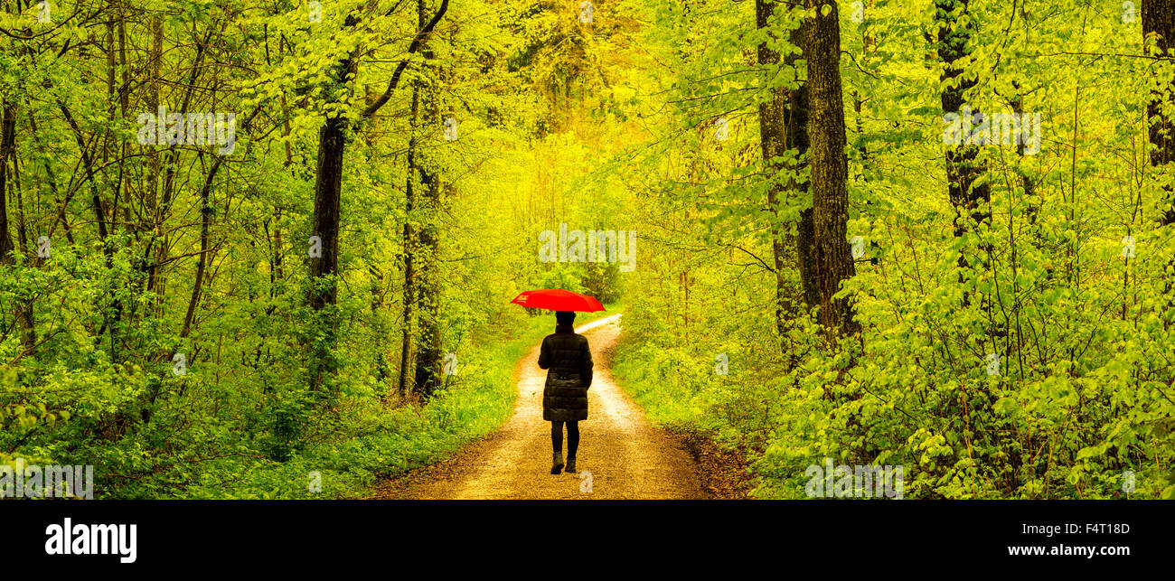 alone, Baden-Wurttemberg, leaves, beeches, Germany, lonely, lonesome woman, loneliness, one, one person, relaxation, rest, Europ Stock Photo