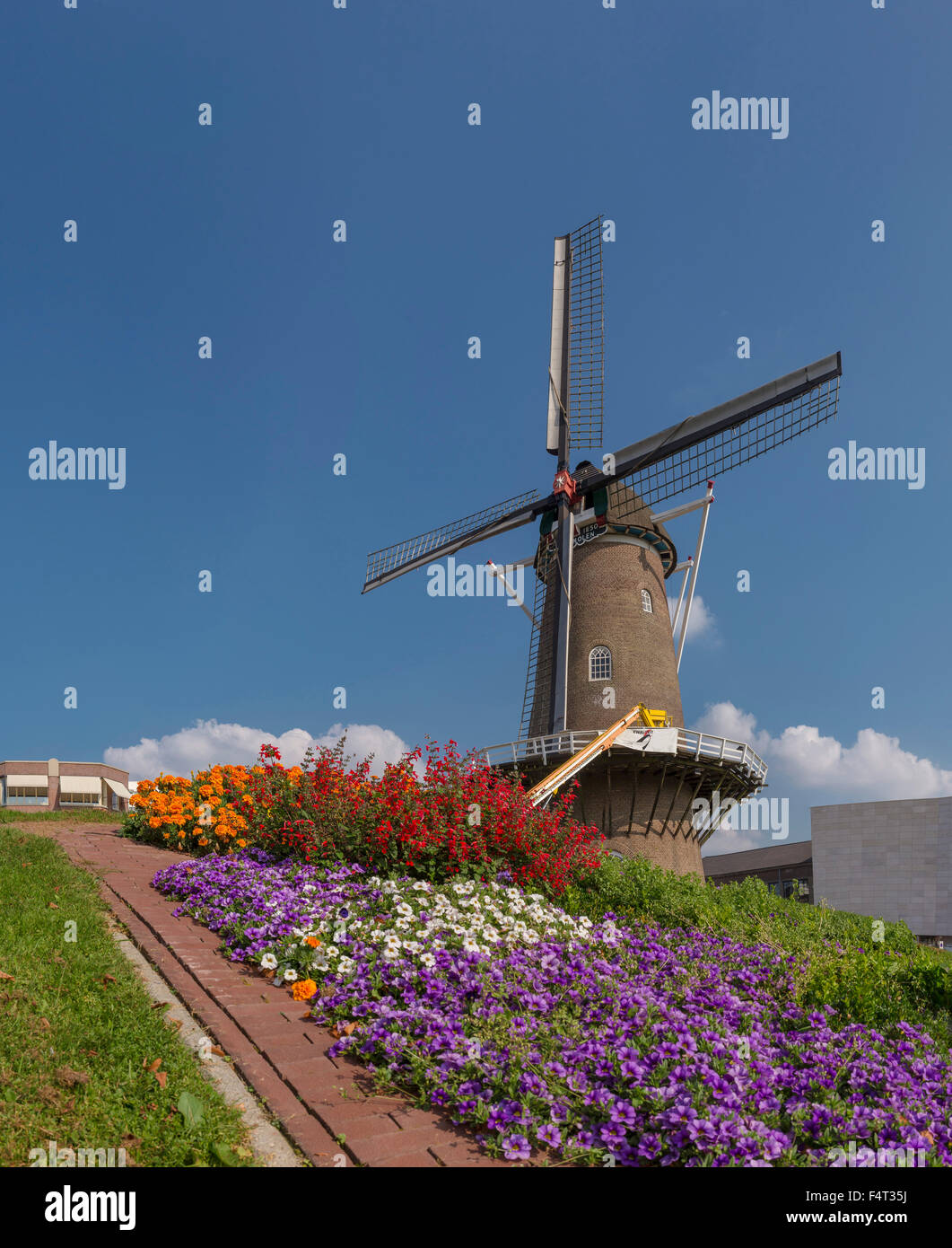 Netherlands, Holland, Doetinchem, Gelderland, Windmill, rampart, windmill, flowers, summer, Stock Photo