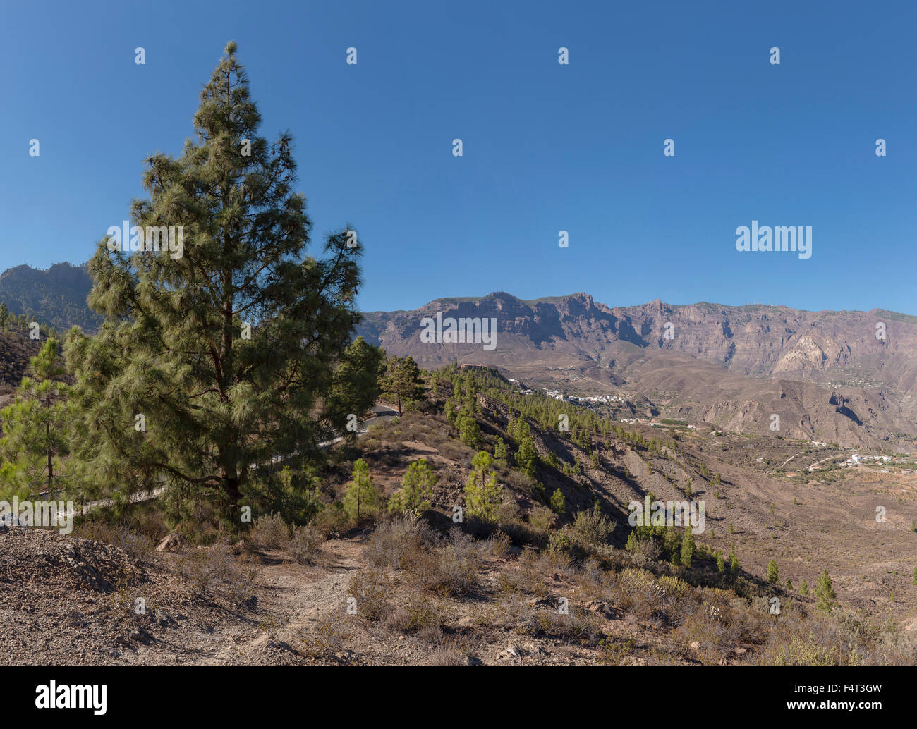 Spain, Europe, San Bartolome de Tirajana, Gran Canaria, Canary Islands, White-washed village, mountains, landscape, forest, wood Stock Photo