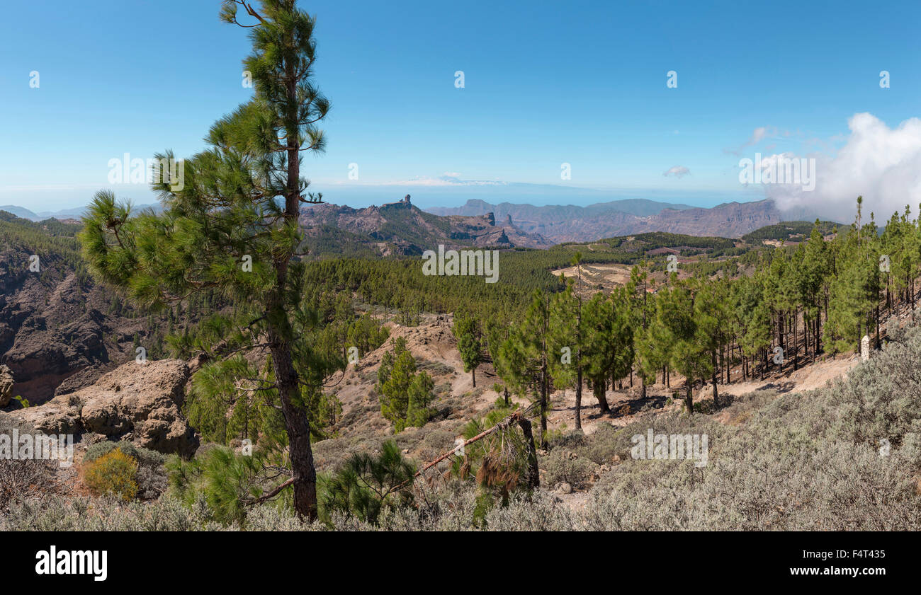 Spain, Europe, San Bartolome de Tirajana, Gran Canaria, Canary Islands, view from, Pico de las Nieves, landscape, forest, wood, Stock Photo