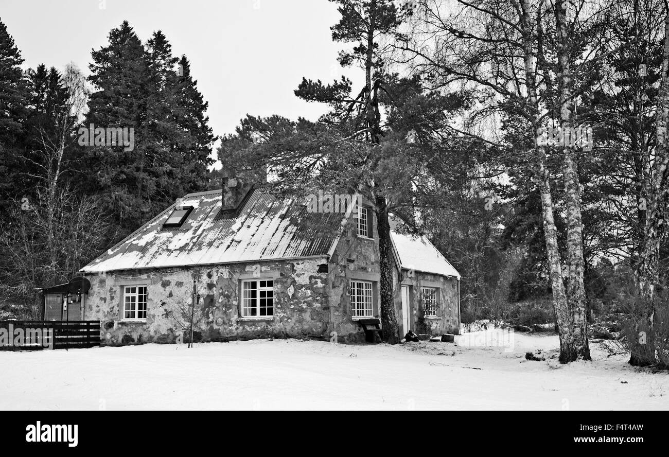 Quaint rustic cottage in the snow in the forest on the Rothiemurchus Estate, near Aviemore, the Cairngorms, Highland Scotland UK Stock Photo