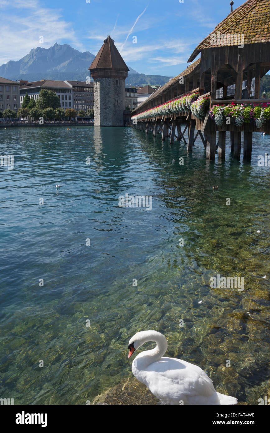 Chapel Bridge and Water Tower Lucerne Switzerland Stock Photo