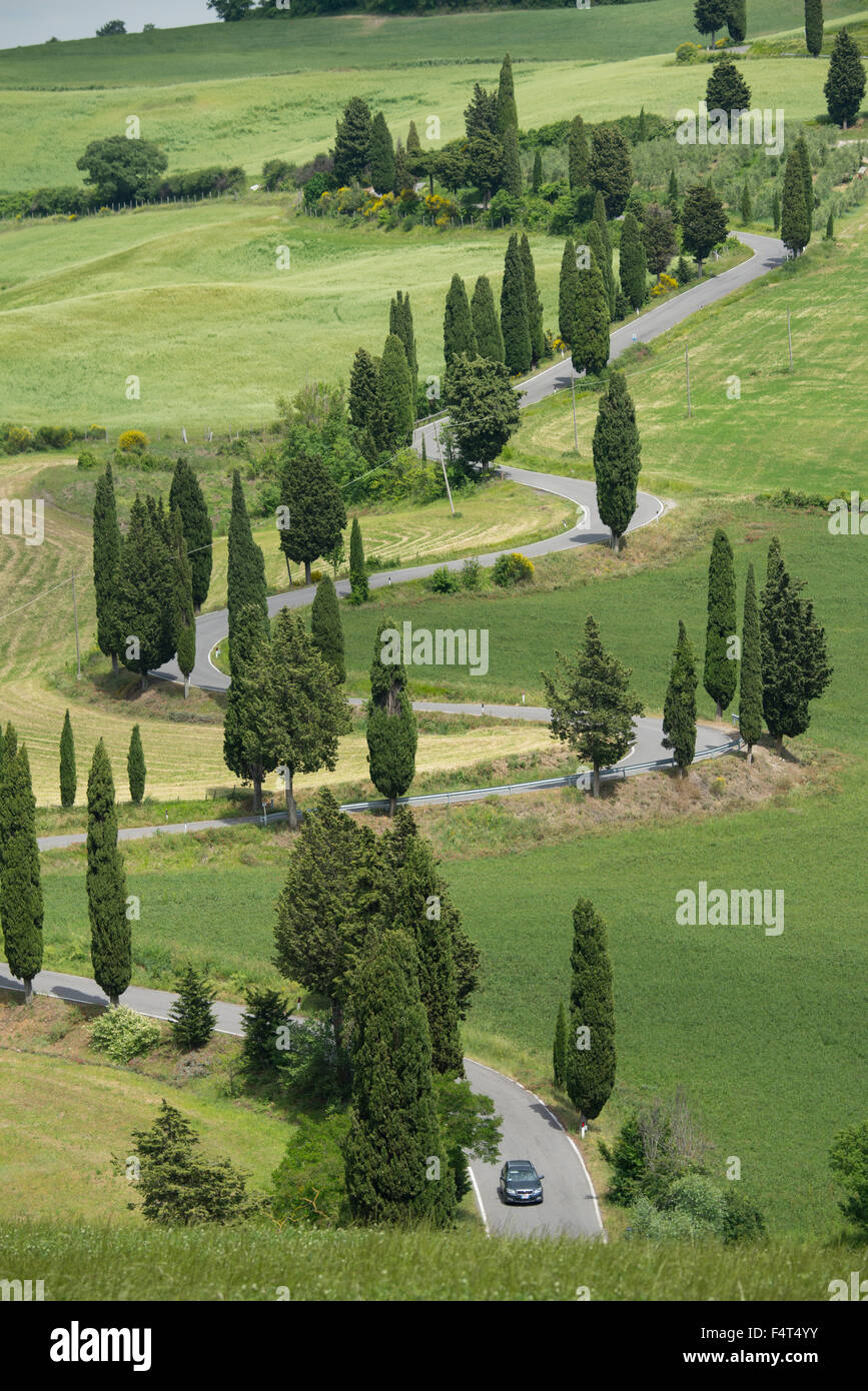 Europe, Italy, Tuscany, Monticello, curved road neat town Stock Photo