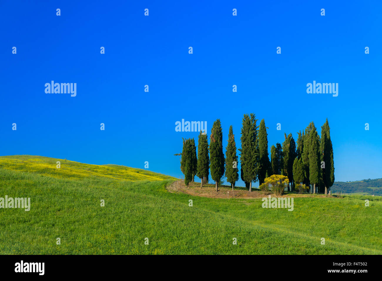 Europe, Italy, Tuscany, Toscana, San Quirico d'Orcia, landscape Stock Photo
