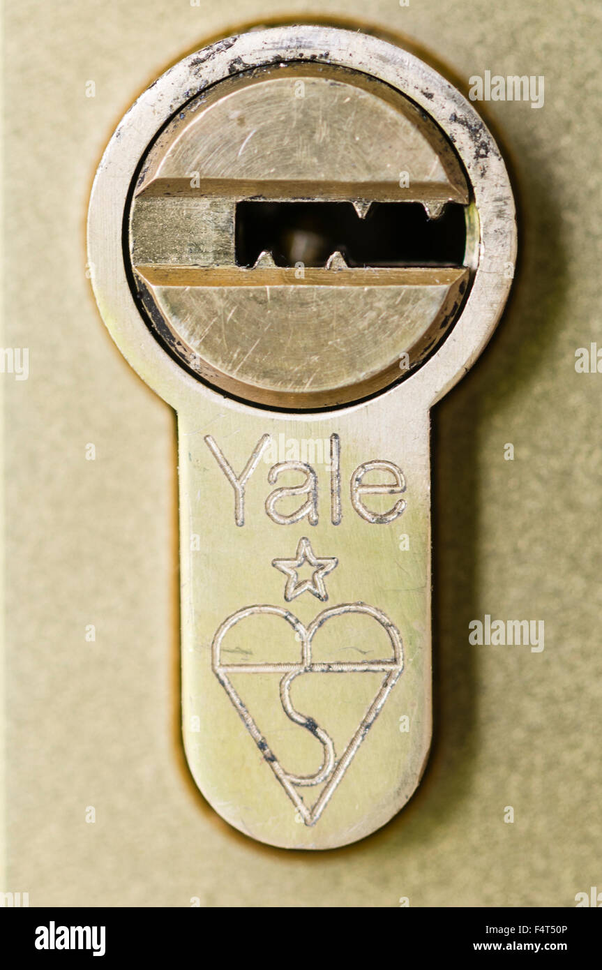 yale key, Sicherheitsschlüssel Stock Illustration