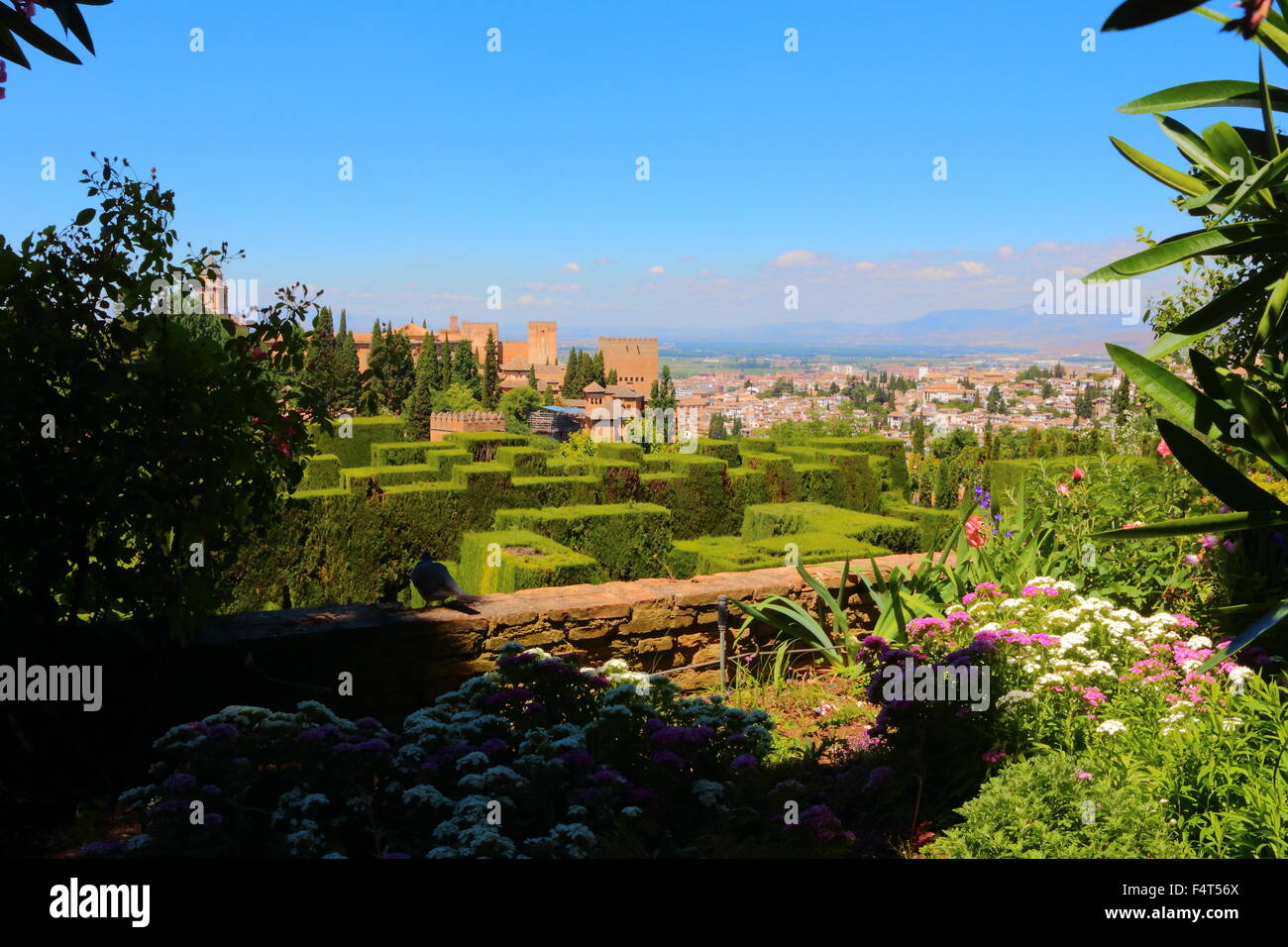 View of the Alhambra from the Generalife gardens Stock Photo