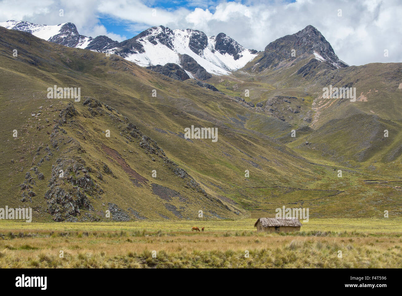 South America, Latin America, Peru, Cuzco, Andes mountains, Altiplano, hut south of Cuzco Stock Photo