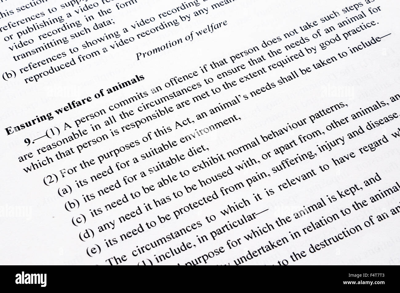 Section from the Welfare of Animals Act (Northern Ireland) 2011 ensuring the welfare of animals and their needs. Stock Photo