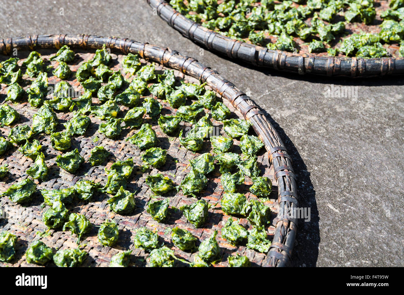 Spinach drying in the sun on a tablet Stock Photo Alamy