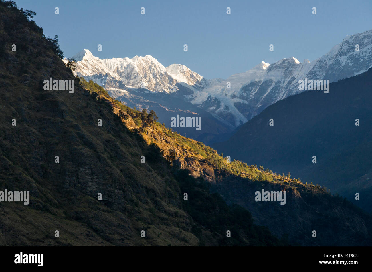 Lumding Himal mountains in the first light of the morning, seen from Kinja Stock Photo