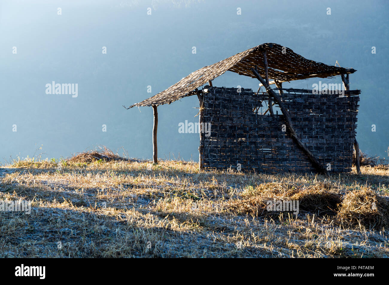 Shelter for animals in the first light of the morning Stock Photo
