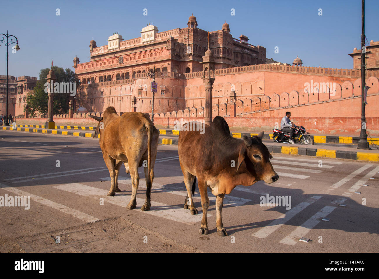 Asia, India, Rajasthan, Bikaner, Junagarh Fort Stock Photo