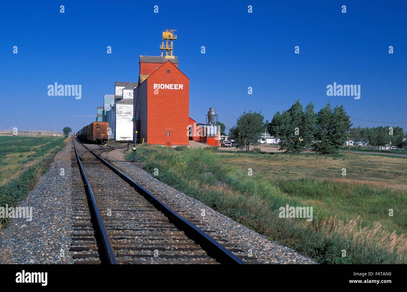 Wheat Barn near Vulcan, Alberta, Canada Stock Photo Alamy