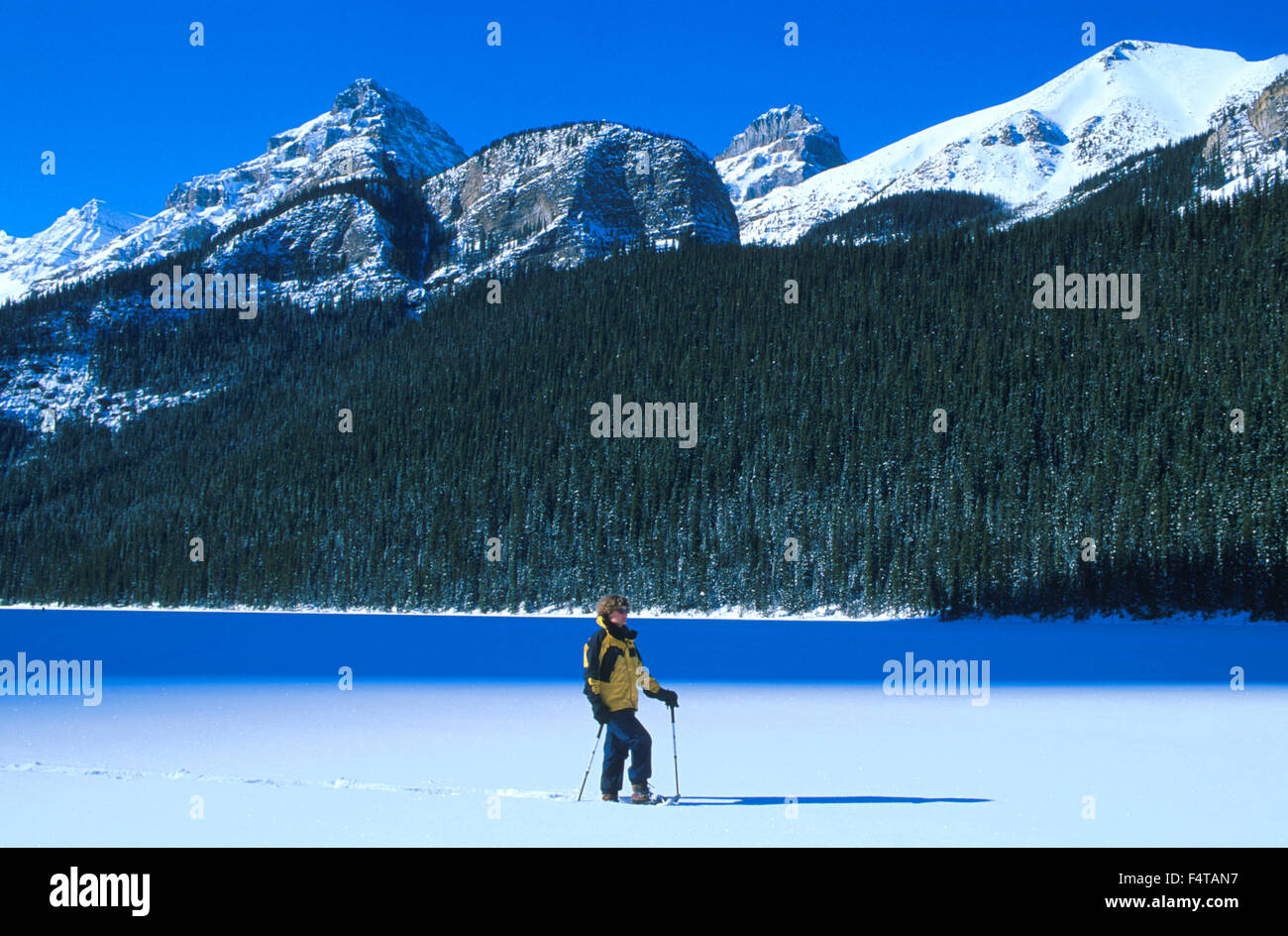 Snowshoeing at Lake Louise,  Banff, National Park,  Alberta, Canada MR 0009 Stock Photo