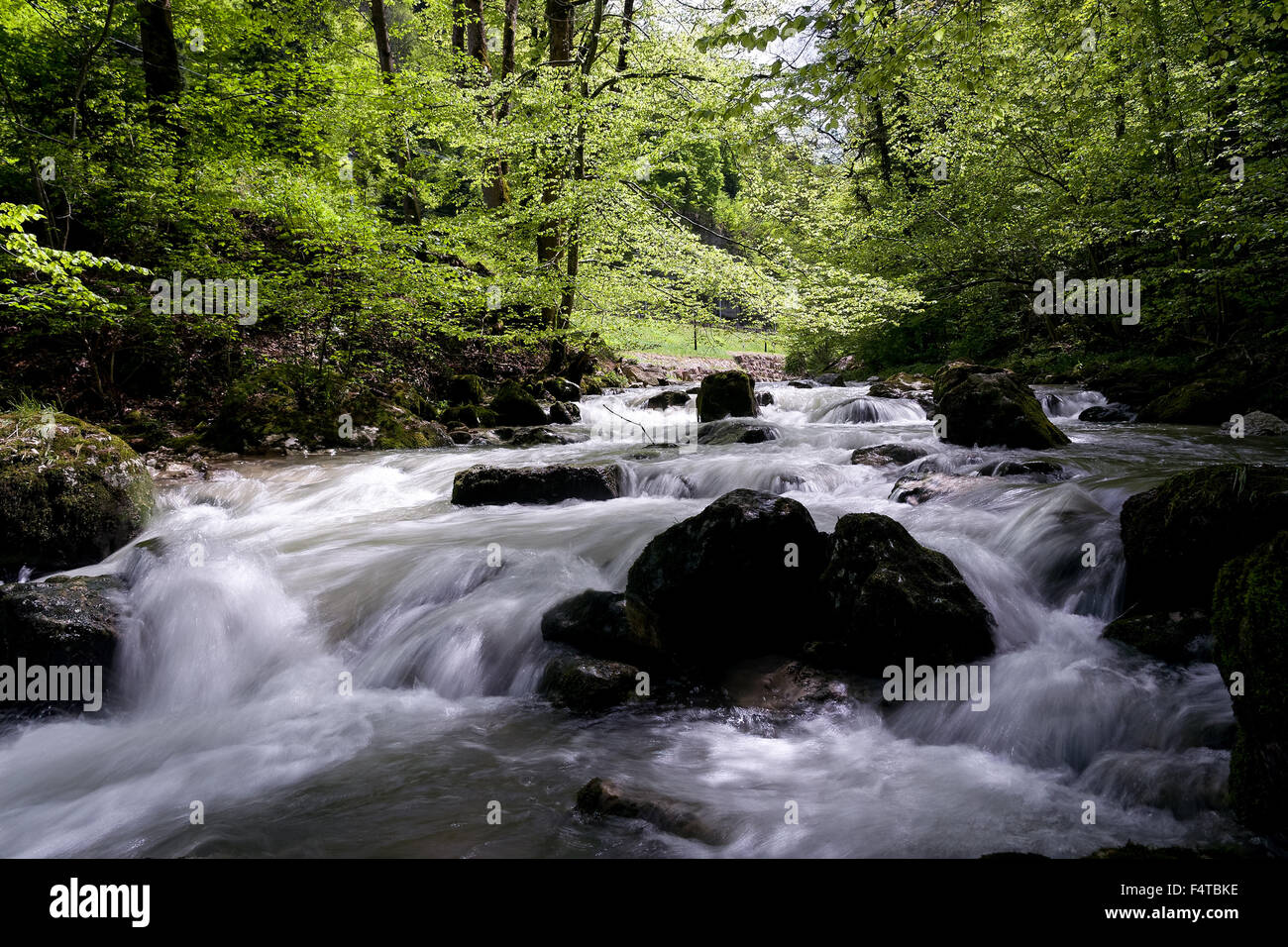 creek, in the ravine of Court Stock Photo
