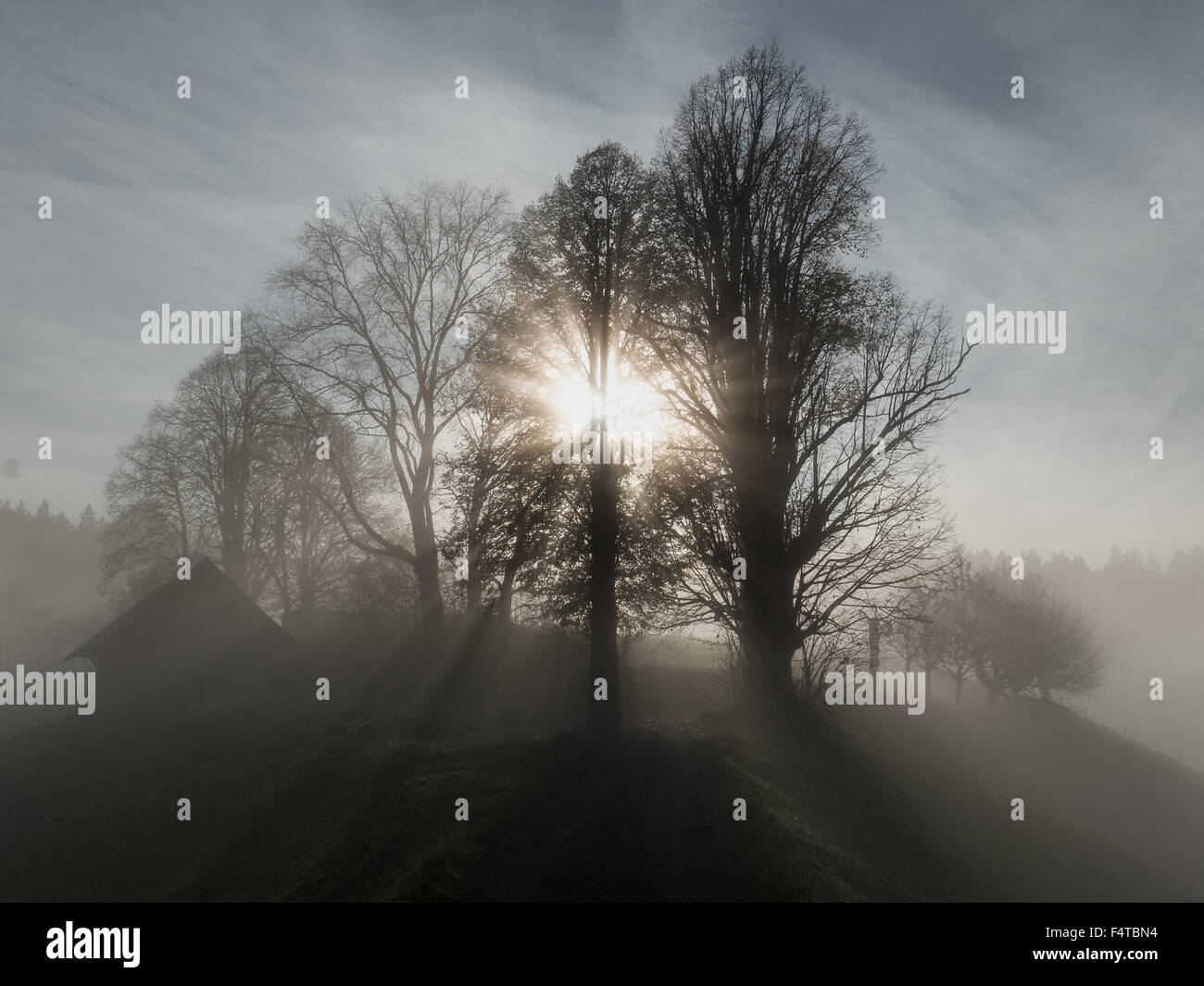 Sunrays in the fog hi-res stock photography and images - Alamy
