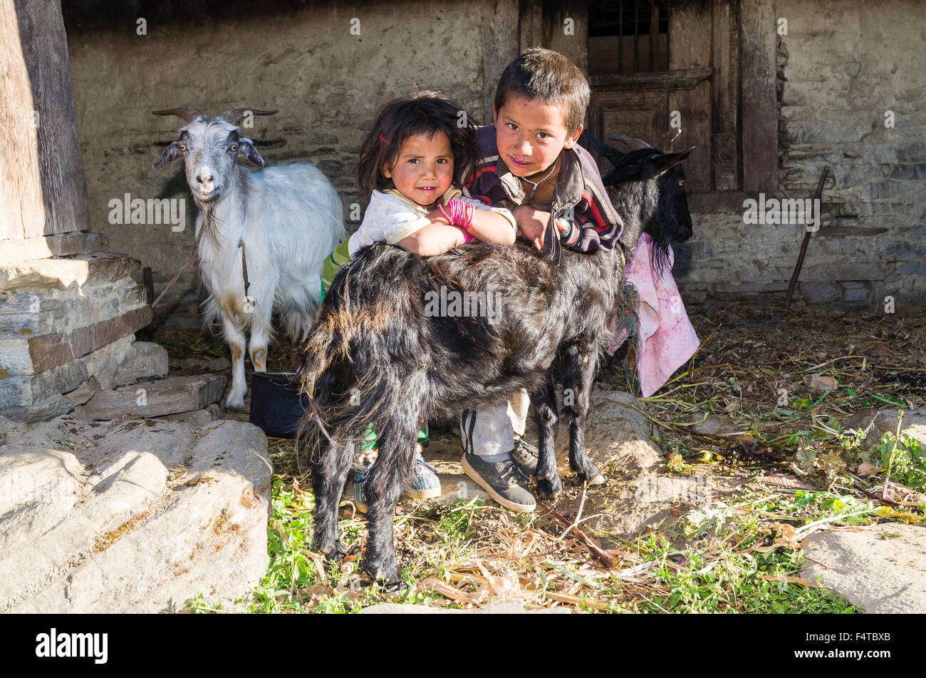 2 local children taking care of their goats Stock Photo Alamy